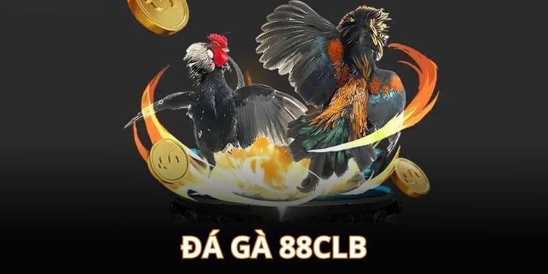 Đá gà 88clb